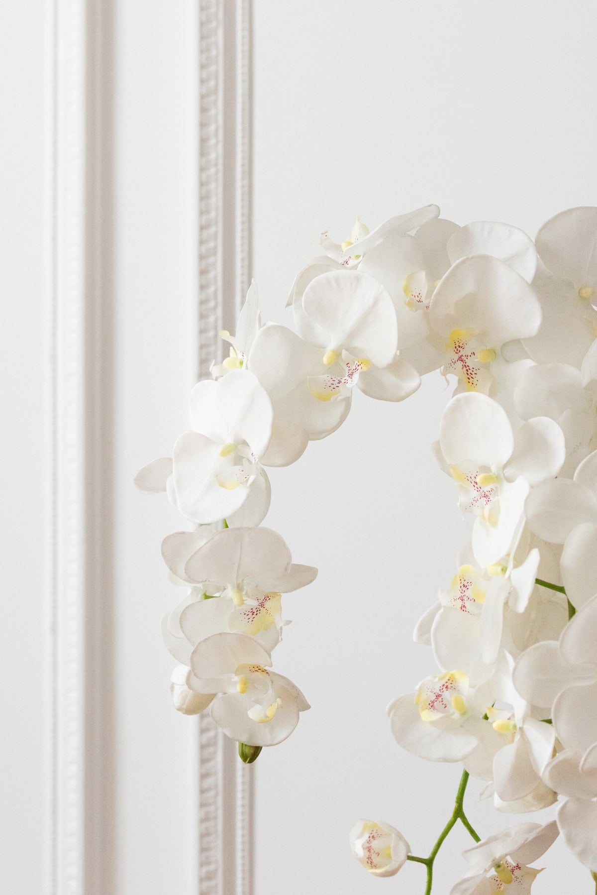 Orchid In Soil Plastic White/Green Large