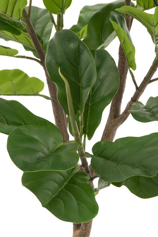 Fiddle Leaf Fig Plastic Green