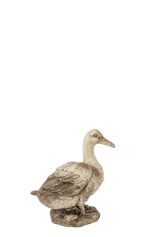 Duck Outdoor Magnesium Ecru/Beige