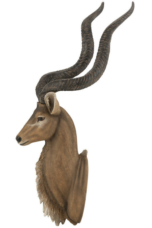 Antelope Head Poly Brown