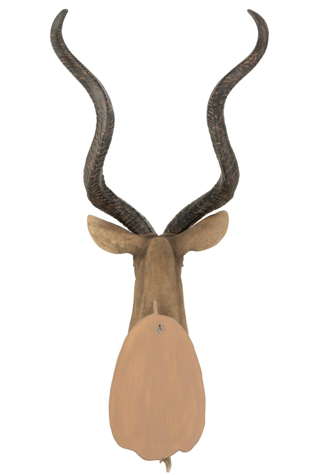 Antelope Head Poly Brown