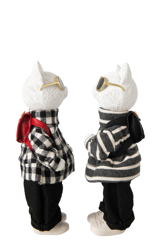 Cat Checkered + Striped Polyresin Black/White Large Assortment Of 2
