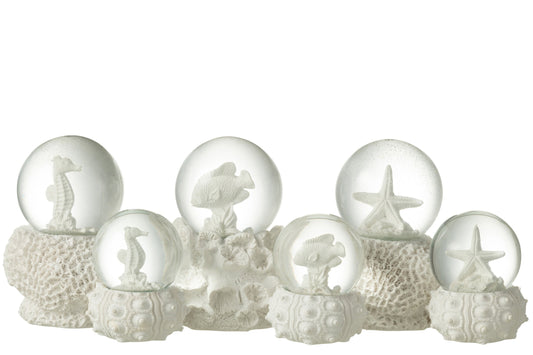 Waterglobe Sea Polyresin White L Assortment Of 3