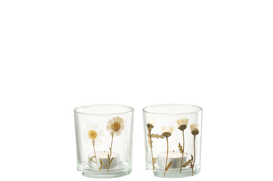 Theelichthouder Bloem Madeliefje Glas Mix Assortiment Van Twee