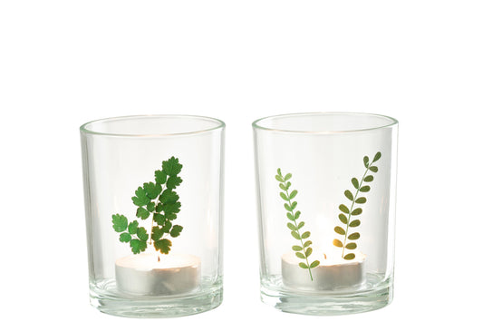 Windlicht Bladeren Glas Groen/Transparant Assortiment Van Twee