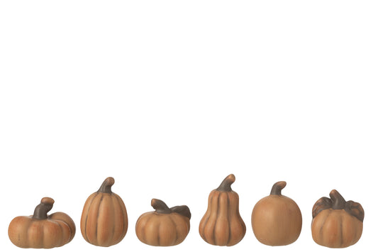 Box Of 6 Pumpkins Porcelain Brown