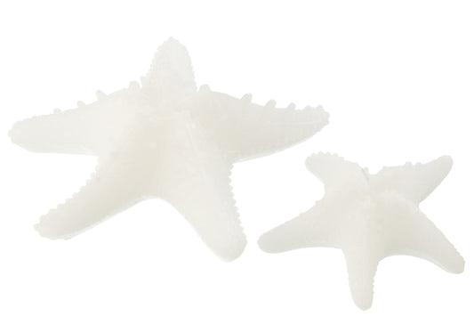 Kaars Zeester Wax Wit Large - 3 Uur