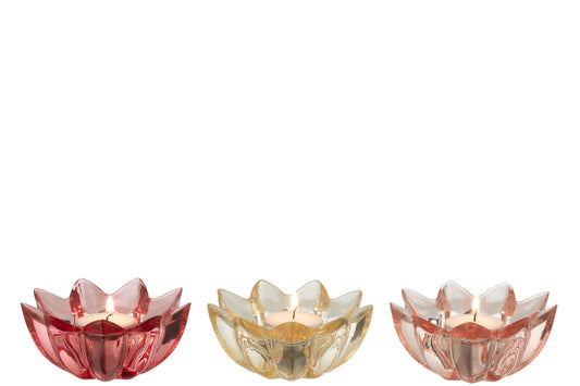 Theelichthouder Bloem Warm Glas Mix Assortiment Van Drie