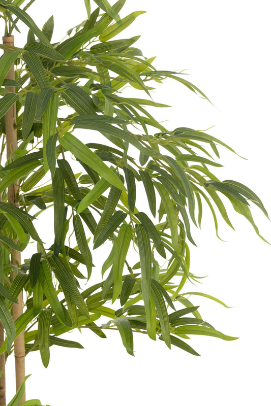 Bamboo Pot Artificial Green