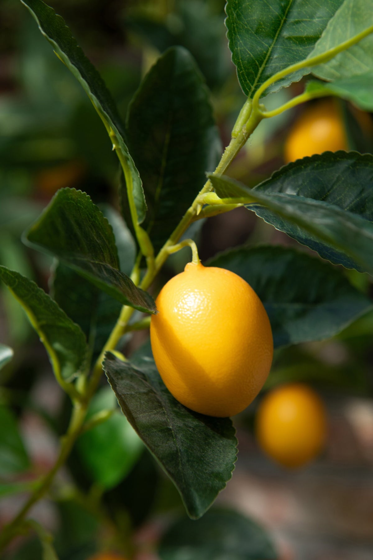 Lemon Tree Pot Artificial Green Small