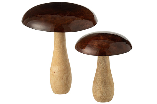 Mushroom Shiny Mango Wood Natural/Brown Large