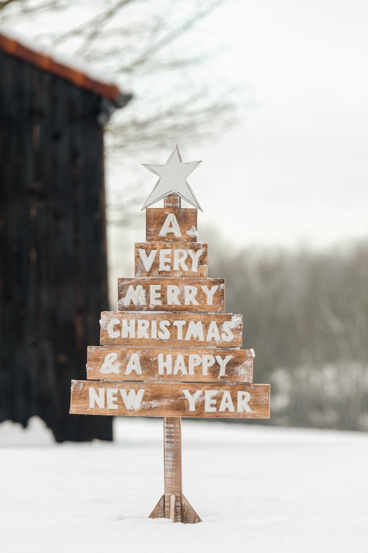 Christmas Tree Star Albasia Wood Natural/White
