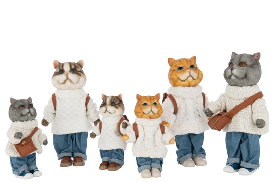 Cat Clothe+Bag Polyresin Multicolored Large Assortment Of 3