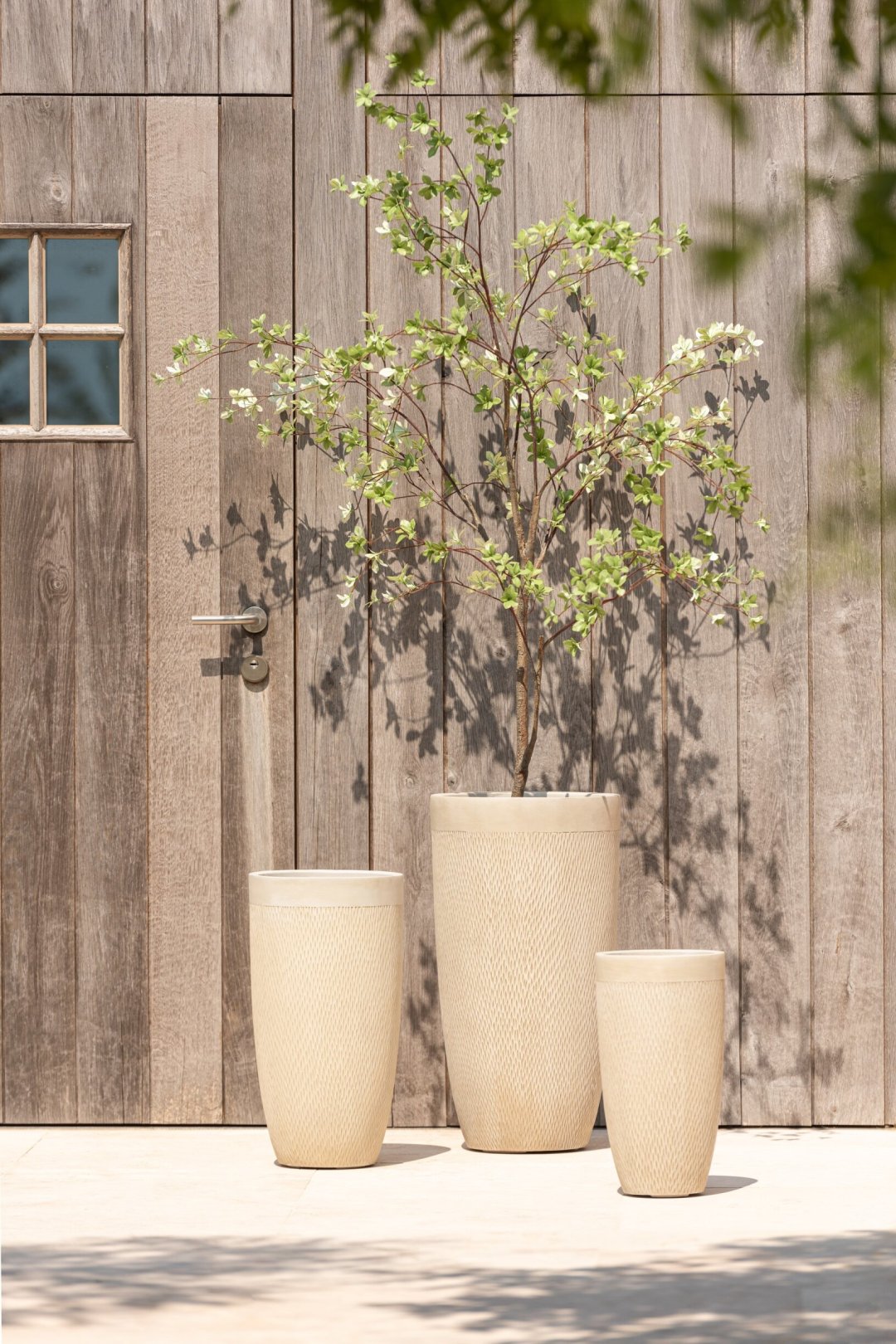 Plant Fine Leaves Plastic Green/Black