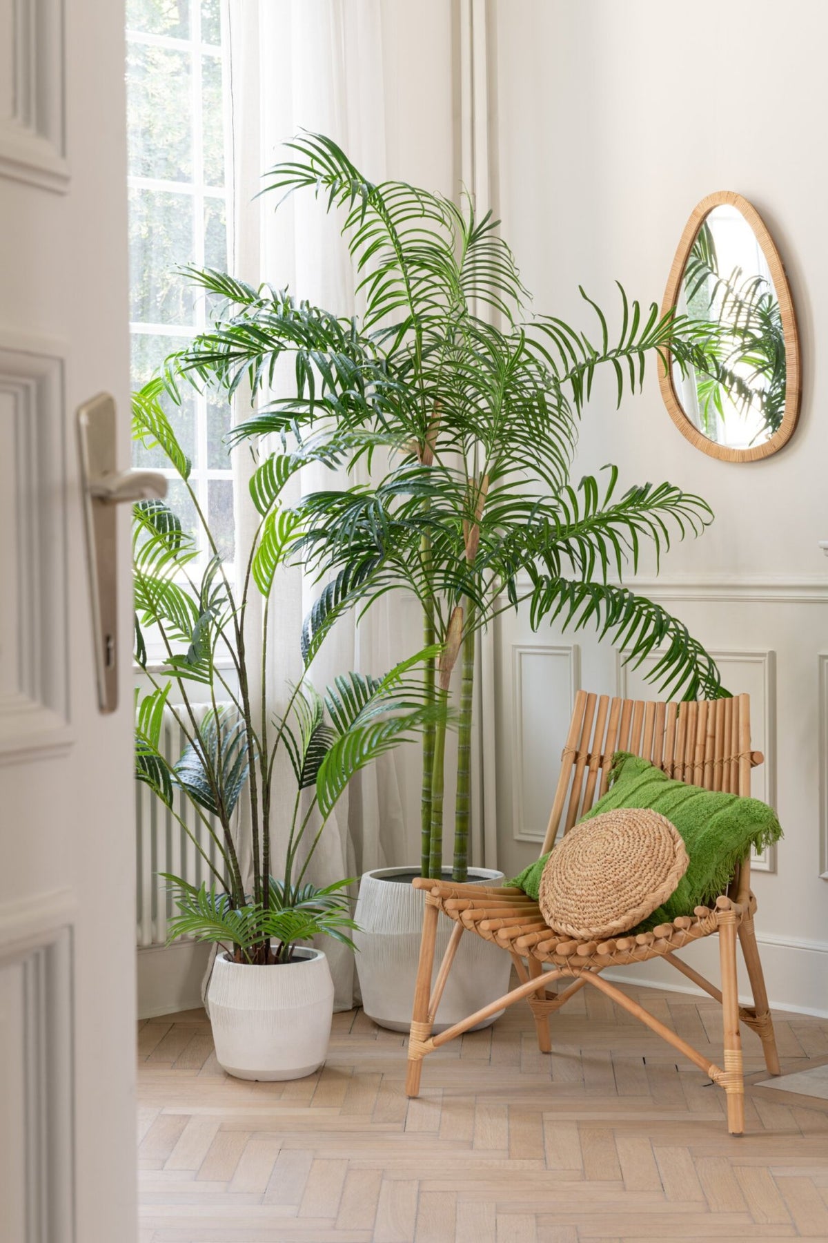 Bamboo Palm In Pot Plastic Green/Black Small