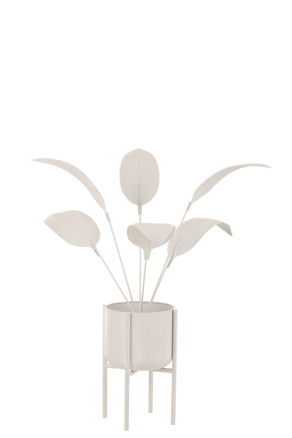 Plant Decoration Metal White Large