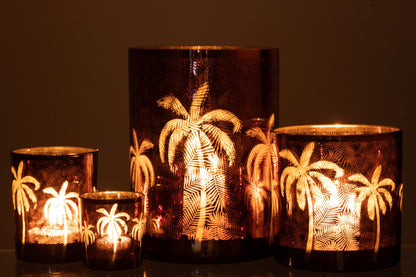 Windlicht Palmboom Glas Bruin Xlarge