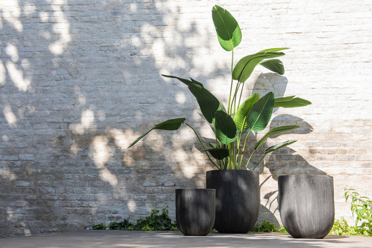 Strelitzia Plastic Green Small