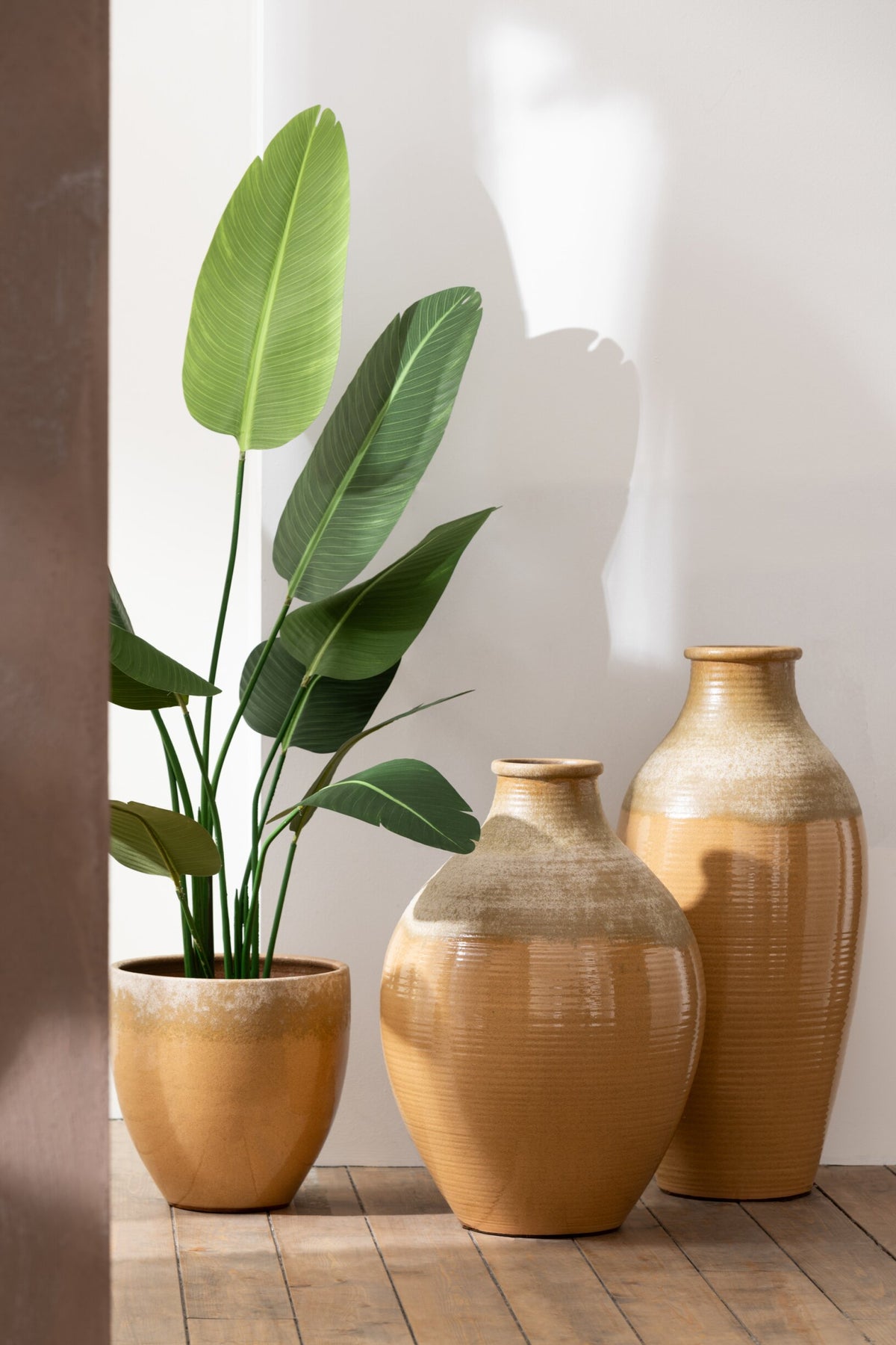 Strelitzia Plastic Green Small