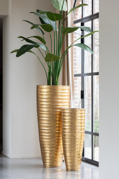 Strelitzia Plastic Green Medium