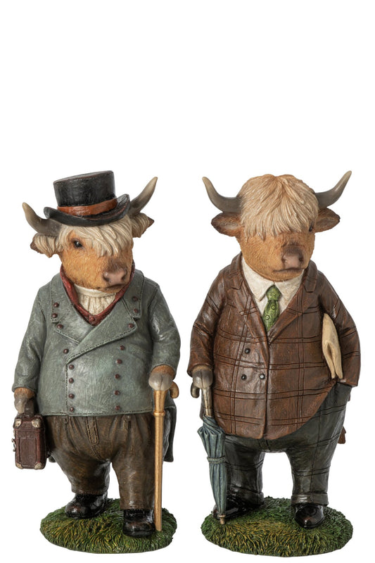 Bull Suit Polyresin Multi Assortment Of 2