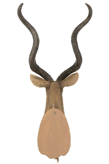 Antelope Head Poly Brown
