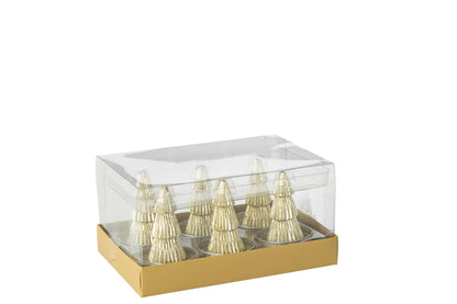 Doos Van 6 Kaars Dennenboom Paraffine Goud