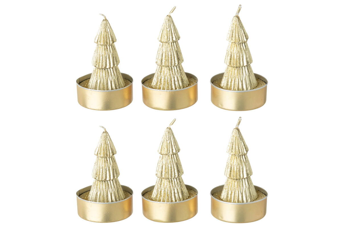 Doos Van 6 Kaars Dennenboom Paraffine Goud