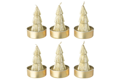 Doos Van 6 Kaars Dennenboom Paraffine Goud