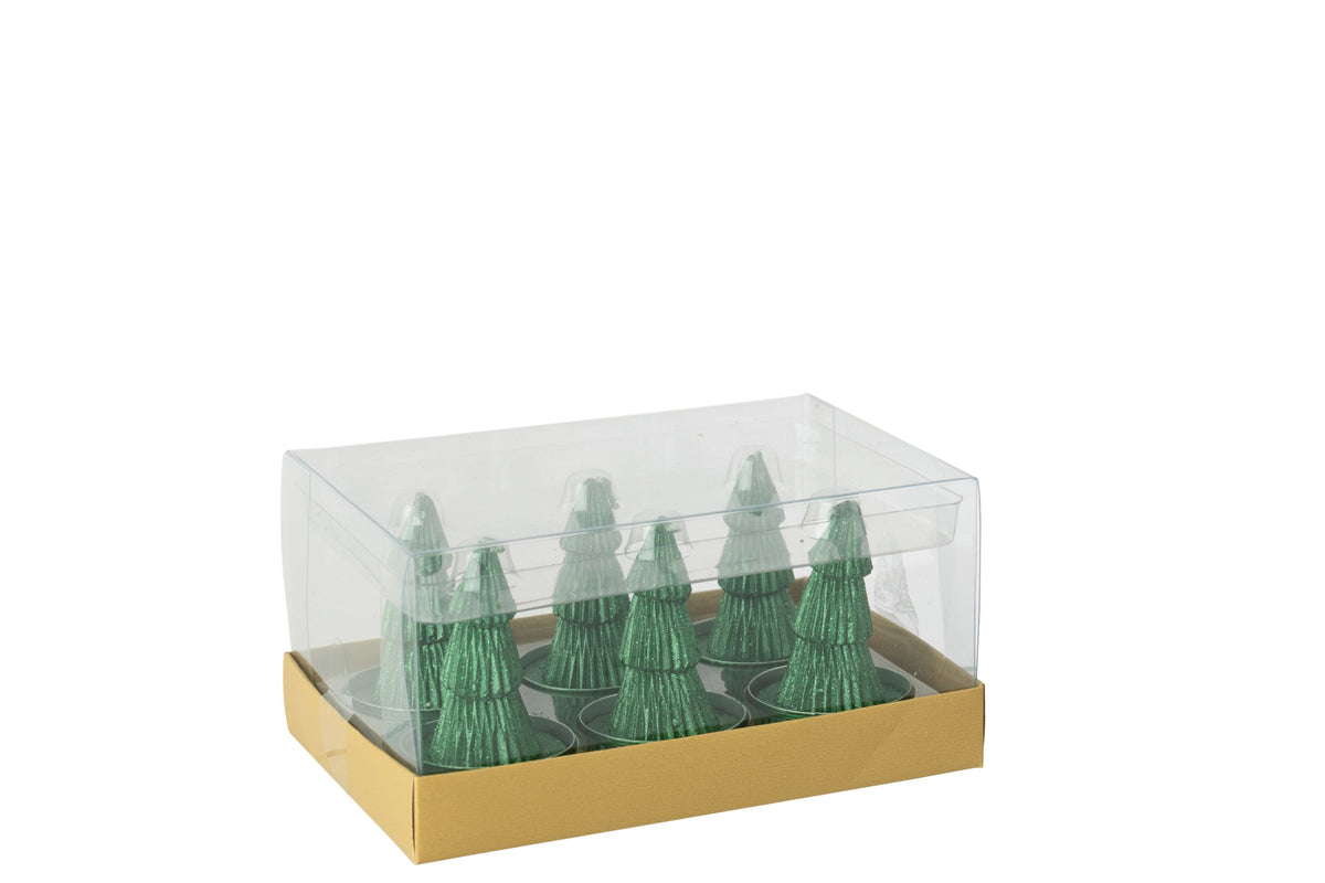 Doos Van 6 Kaars Dennenboom Paraffine Groen