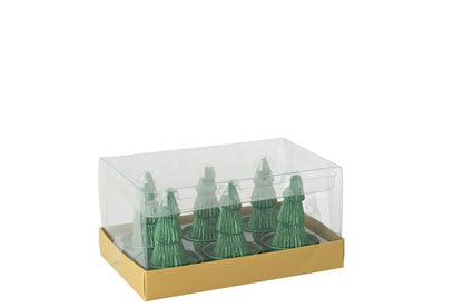 Doos Van 6 Kaars Dennenboom Paraffine Groen