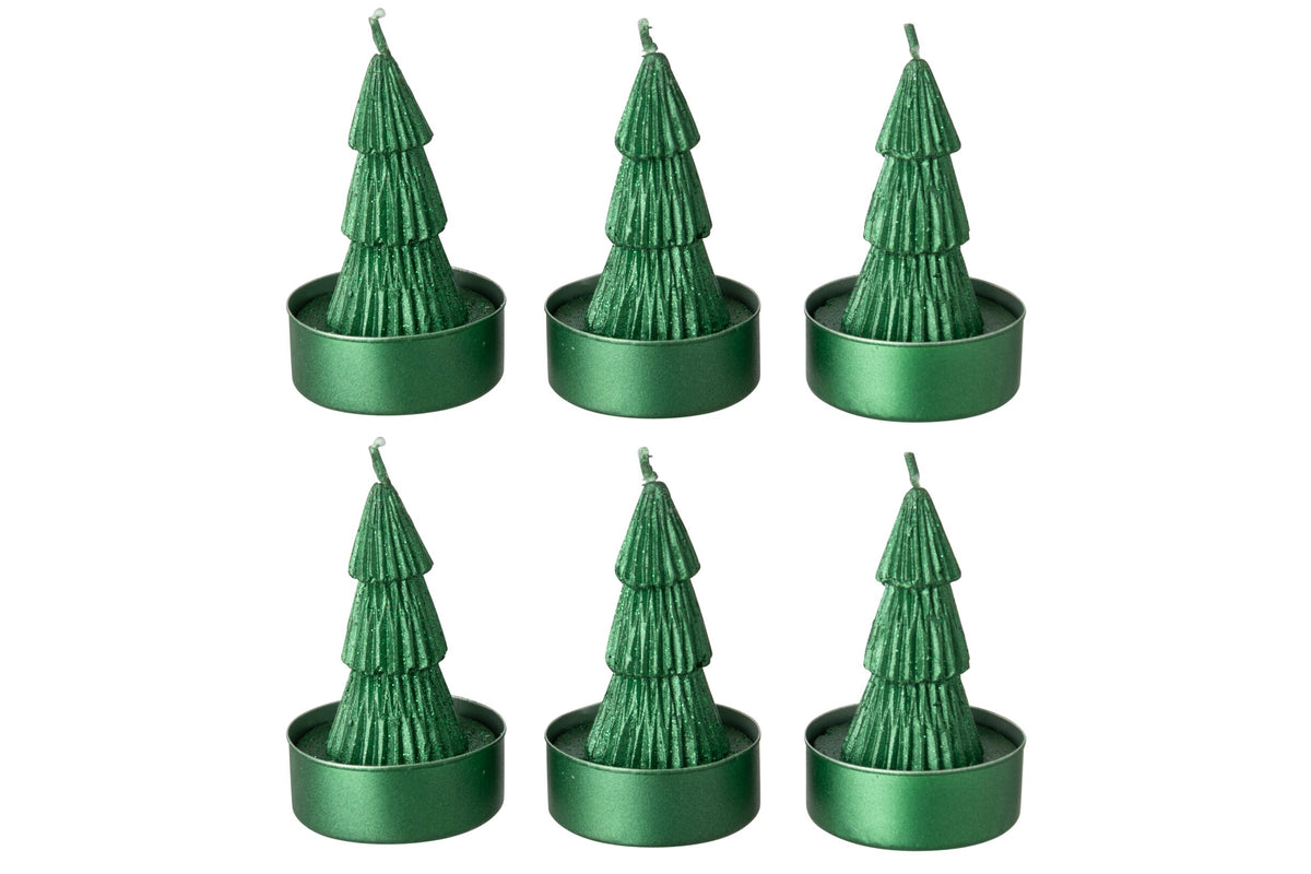 Doos Van 6 Kaars Dennenboom Paraffine Groen