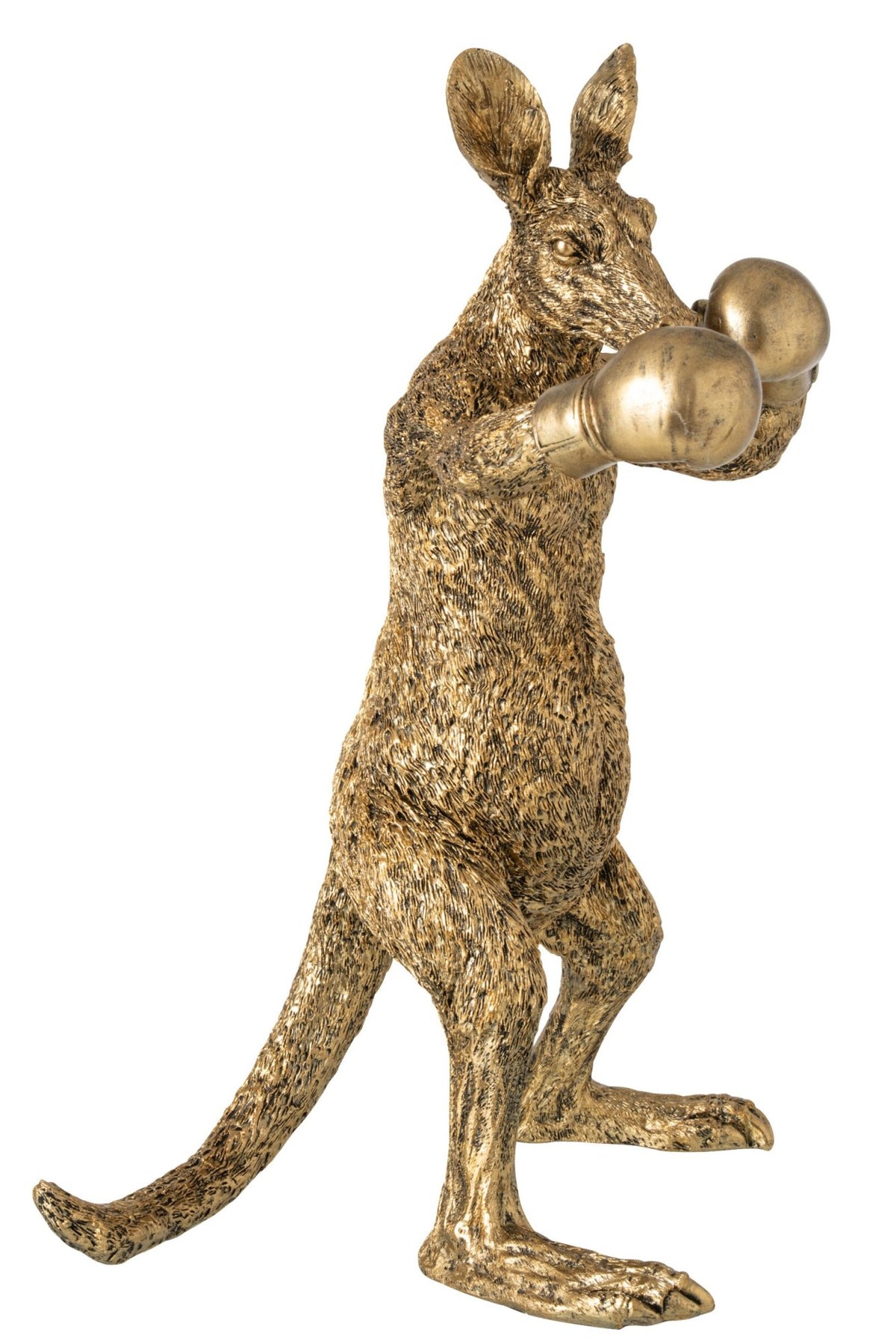 Kangaroo Boxer Polyresin Gold