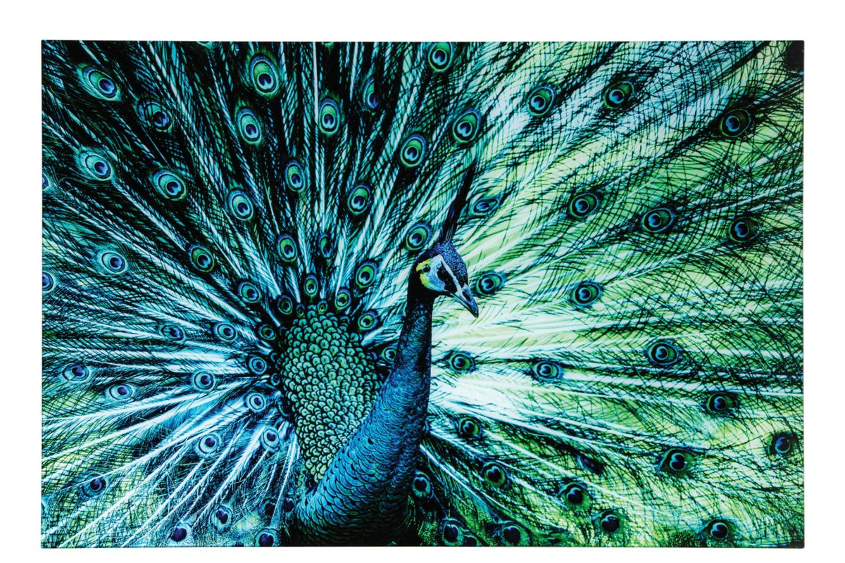 Wall Decoration Peacock Glass Blue/Green