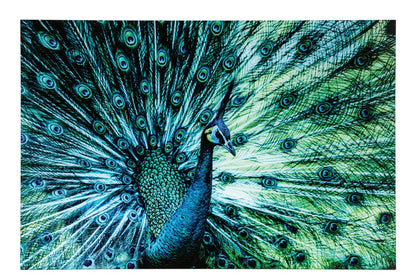 Wall Decoration Peacock Glass Blue/Green