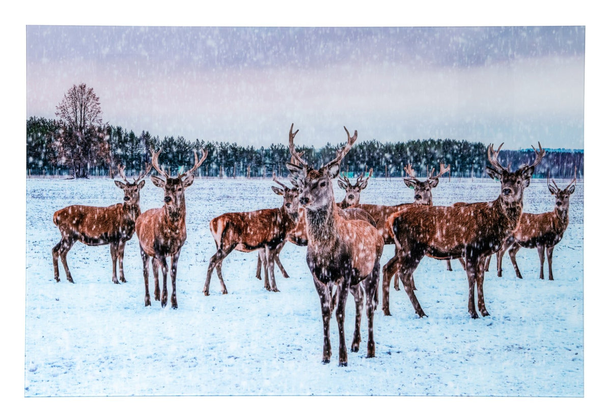 Wall Decoration Deer Glass Multi