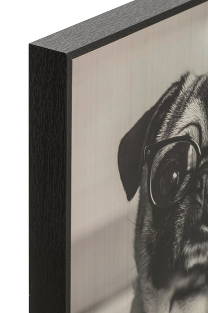 Poster Dog + Coffee MDF Burgundy Assortment Of 4