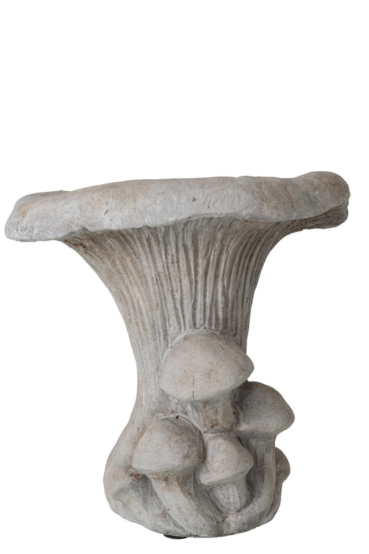 Mushroom Cement Light Beige