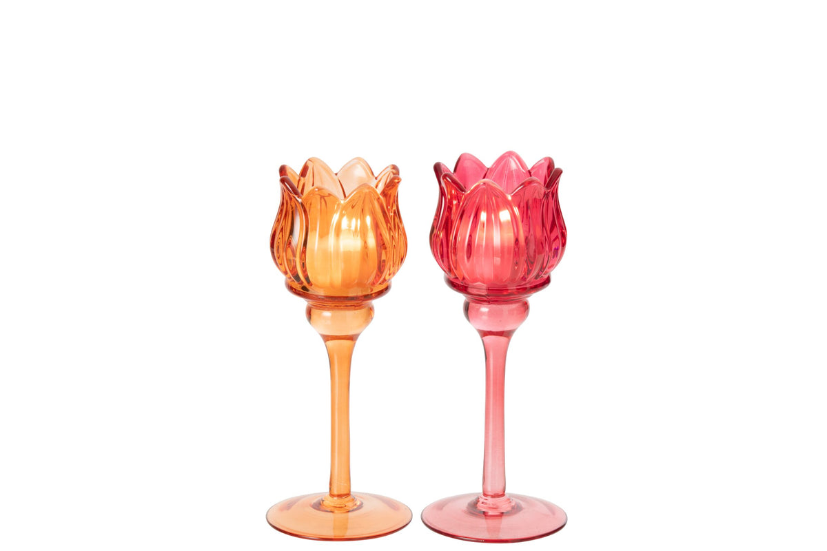 Theelichthouder Op Voet Tulp Glas Oranje/Fuchsia Small Assortiment Van 2