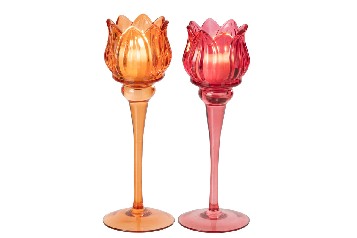 Theelichthouder Op Voet Tulp Glas Oranje/Fuchsia Large Assortiment Van 2