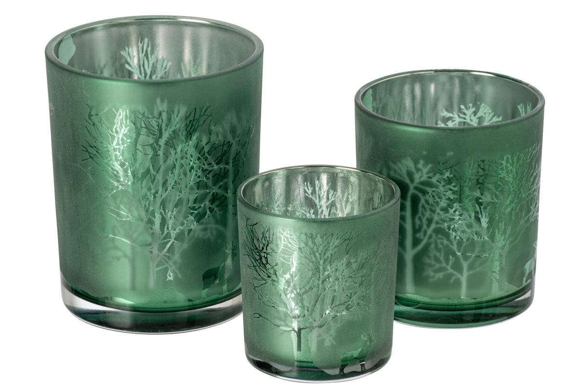 Kaarshouder Bos Glas Groen Large