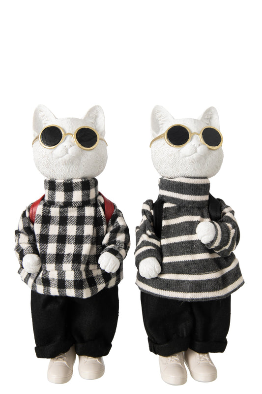 Cat Checkered + Striped Polyresin Black/White Large Assortment Of 2