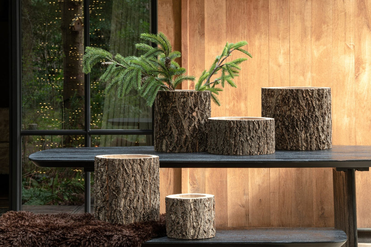 Set Of 2 Flowerpot Tree Trunk Paulownia Wood Natural
