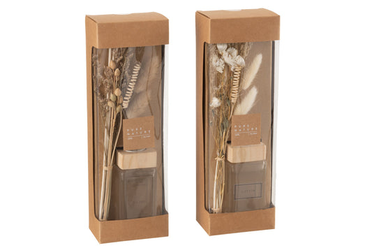 Geurolie + Bloemen Takken Naturel Assortiment Van 2