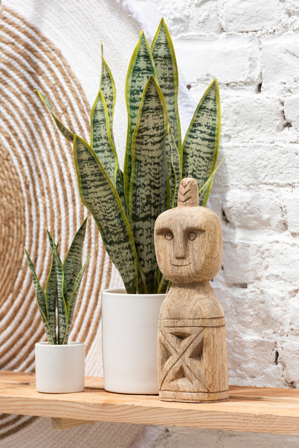 Plant Sansevieria In Pot PVC Green Extra Large