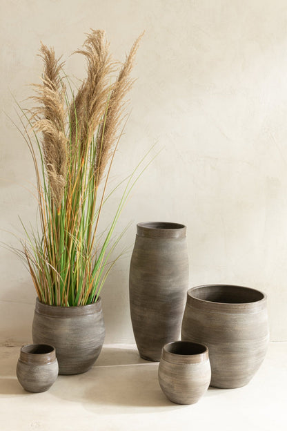 Pampas Grass 5 Heads In Pot PVC Green/Beige Small