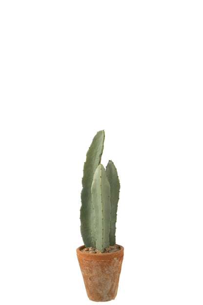 Cactus 3 Parts In Pot Plastic Green Small