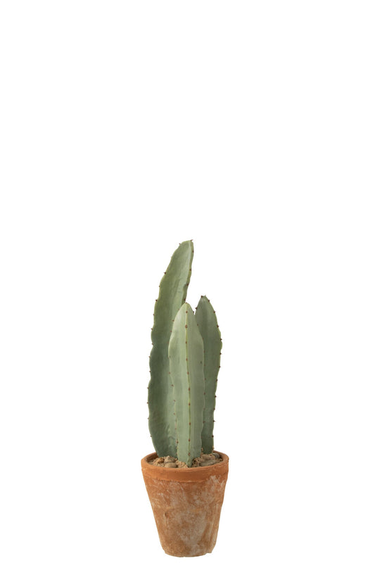 Cactus 3 Parts In Pot Plastic Green Small