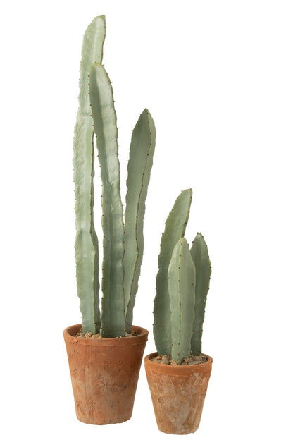 Cactus 3 Parts In Pot Plastic Green Large