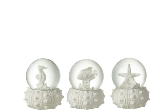 Waterglobe Sea Polyresin White Small Assortment Of 3